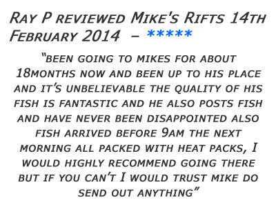 Mikes Rifts Review 8